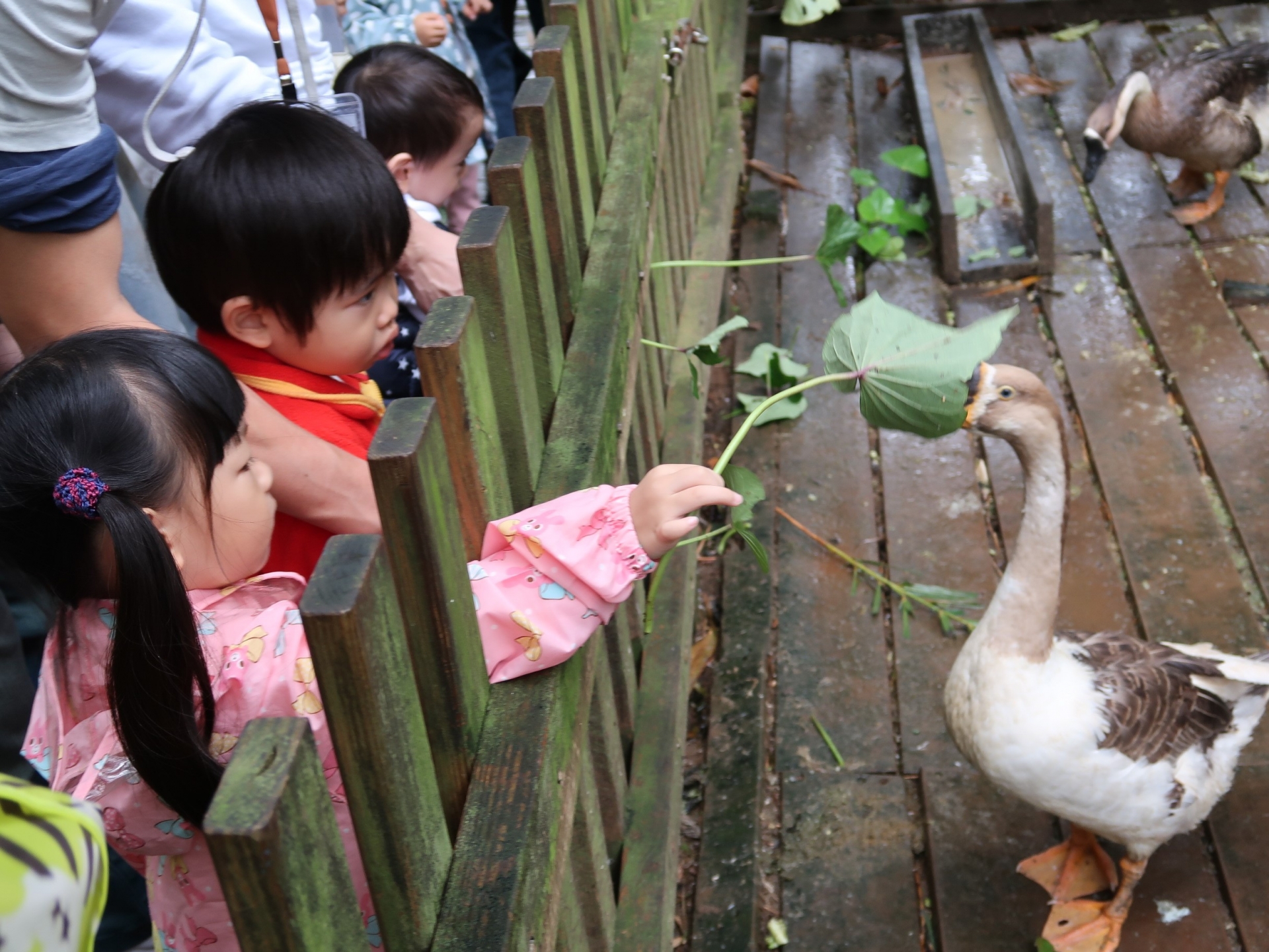 休閒農場親子旅遊