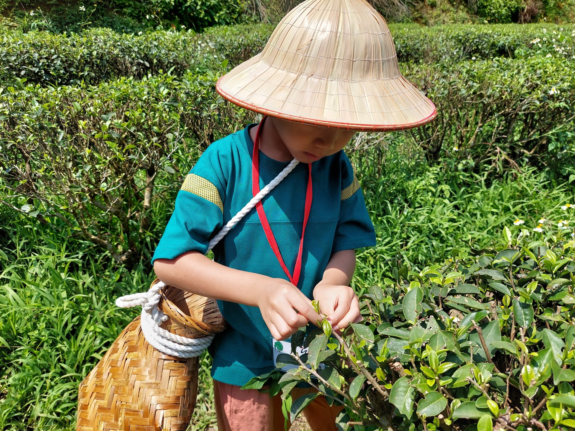 休閒農場親子旅遊