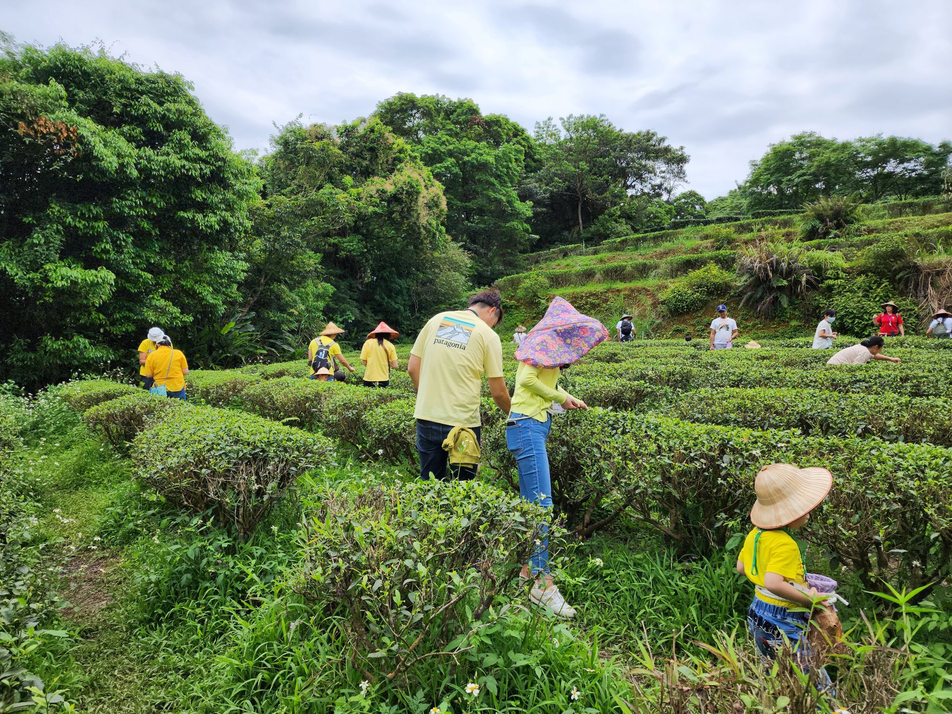休閒農場親子旅遊