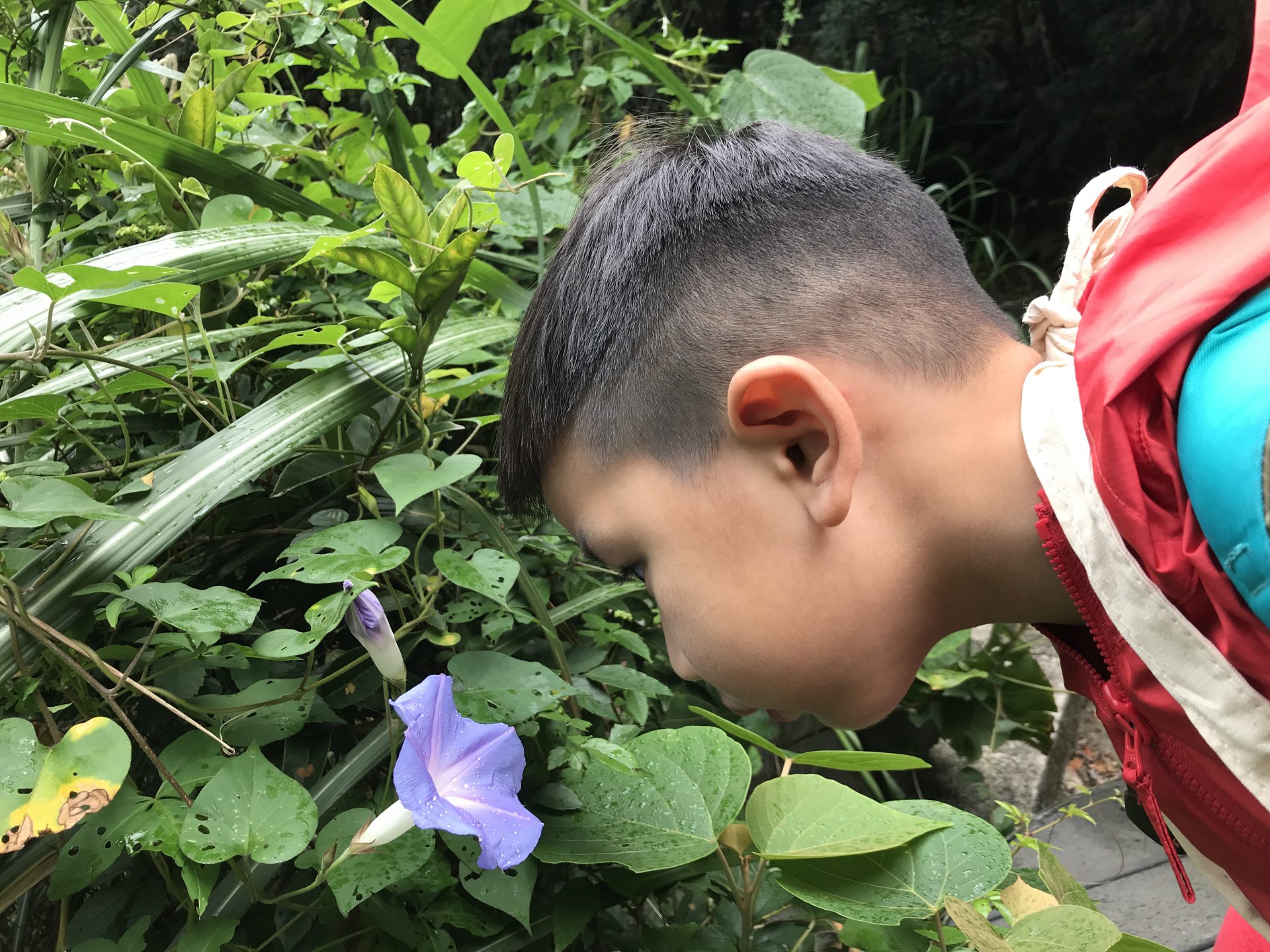 移動教室-自然篇